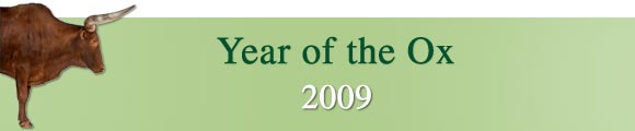 Year of the ox main banner