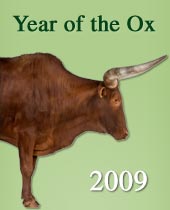Year of the ox side banner