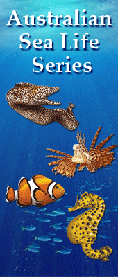 SeaLifeSidebanner
