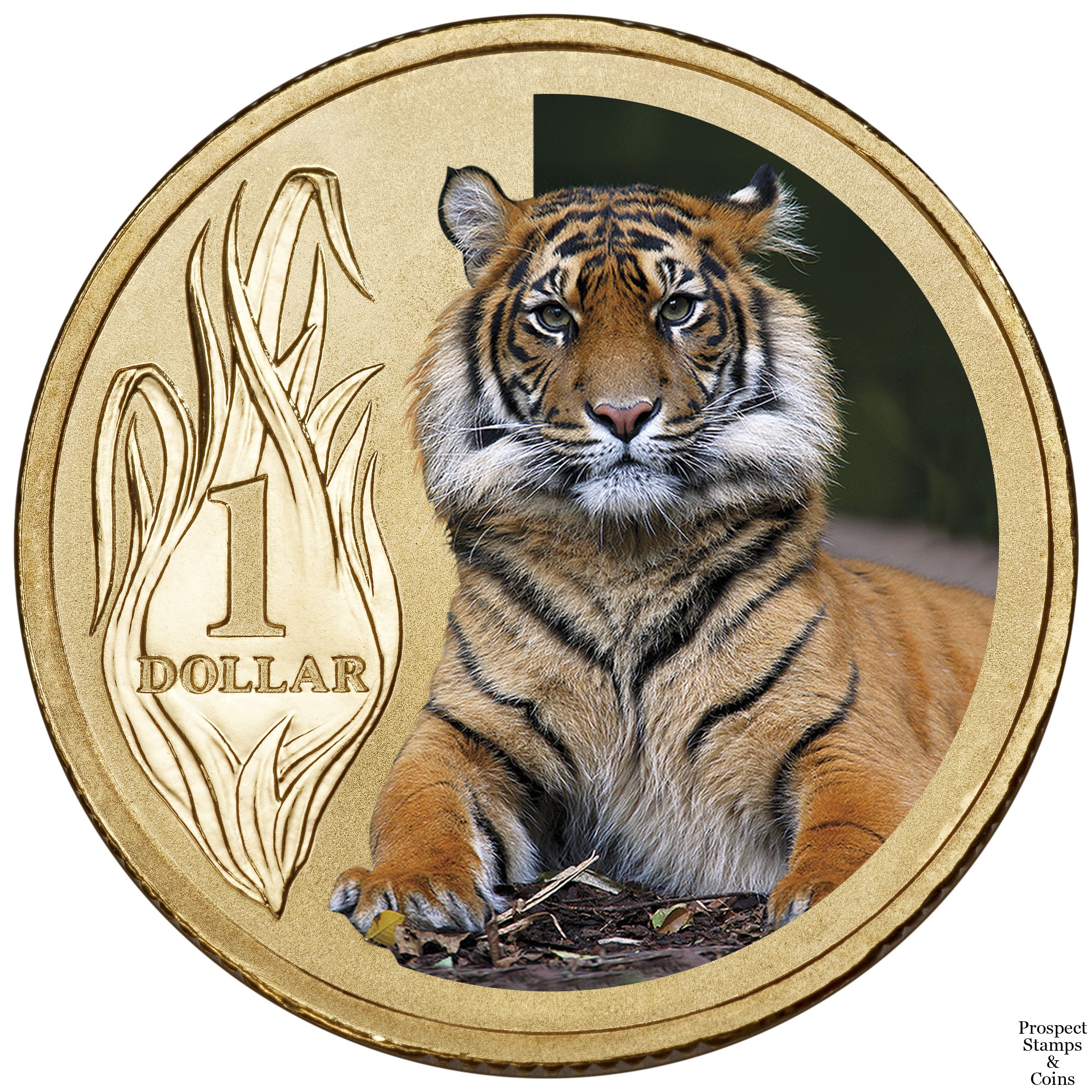 Год тигра 2025. Золотая монета суматранский тигр. Монеты с изображением тигра. Тигр с монетой. Медаль с тигром.